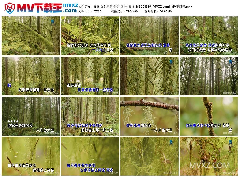 齐秦-如果真的不要_国语_流行_MEC01715